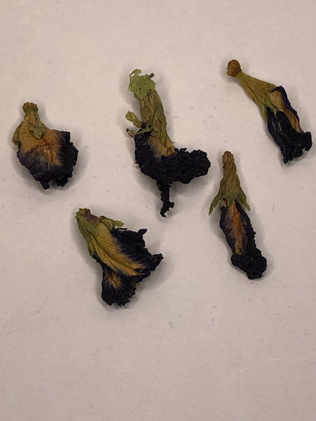 Butterfly Pea Flower